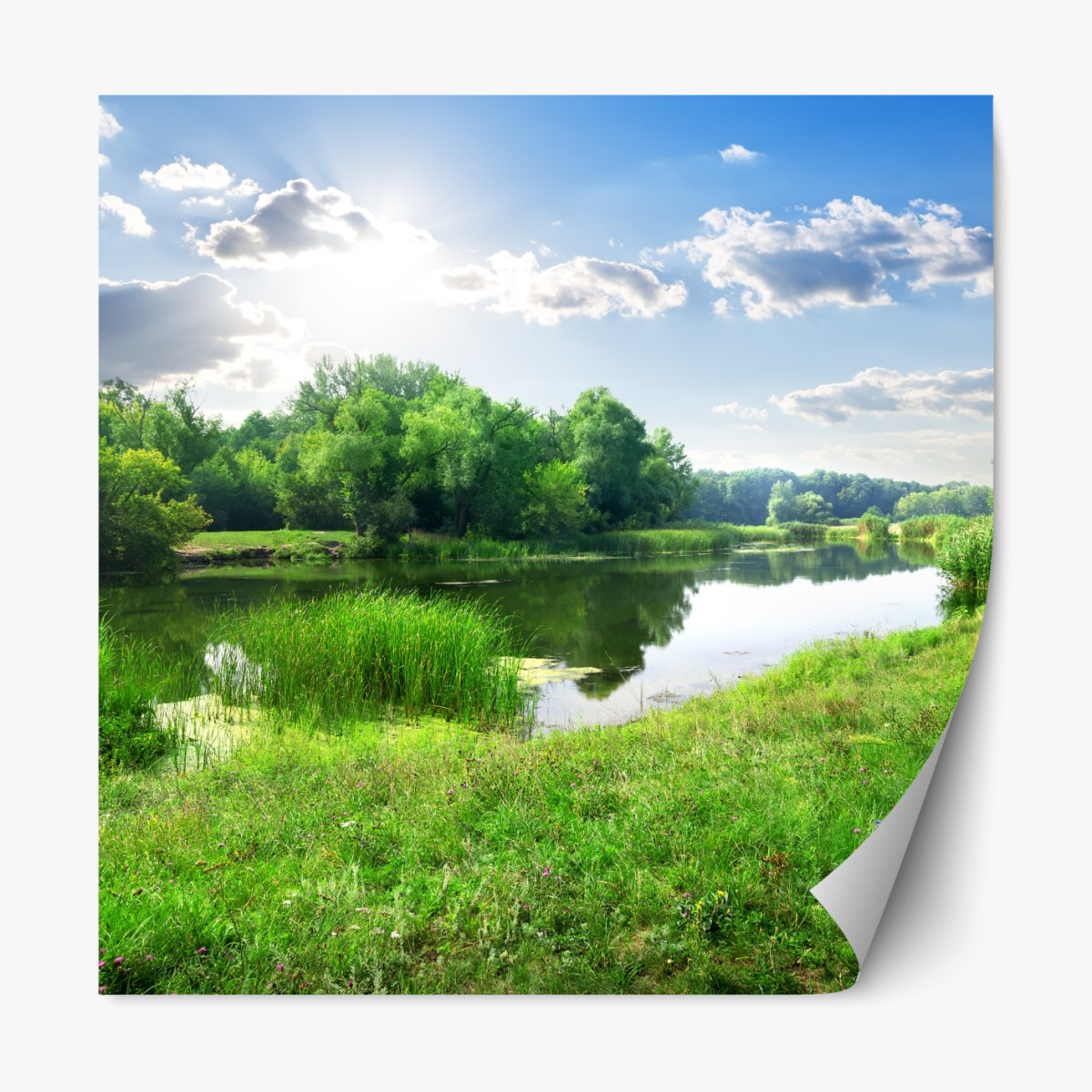 Repositionable sticker sunlit riverside meadow