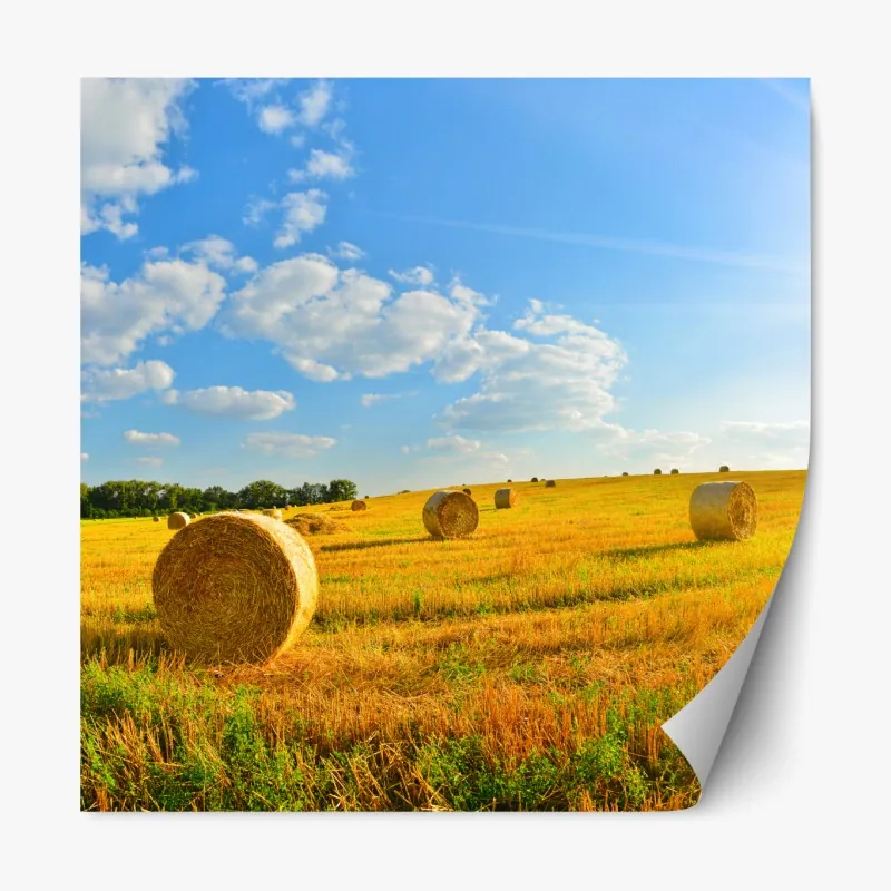 Naklejka repozycjonowalna mglista panorama górska – Wallissimo®