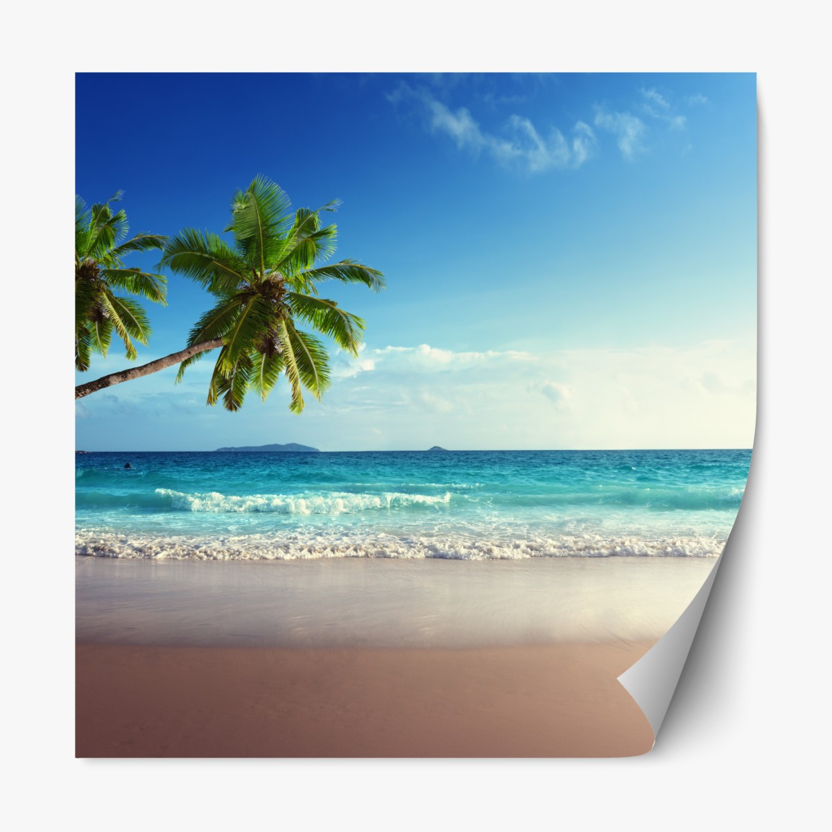 Repositionable sticker tropical Caribbean beach at sunset