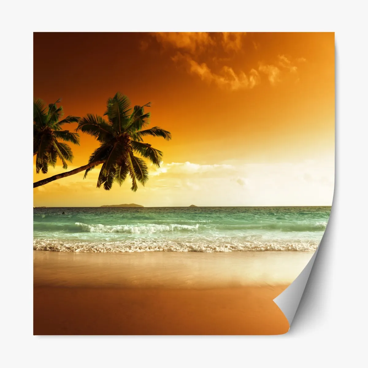 Naklejka repozycjonowalna plaża przy zachodzie słońca na Karaibach z palmami – Wallissimo® Naklejka repozycjonowalna plaża przy zachodzie słońca na Karaibach z palmami – Wallissimo®