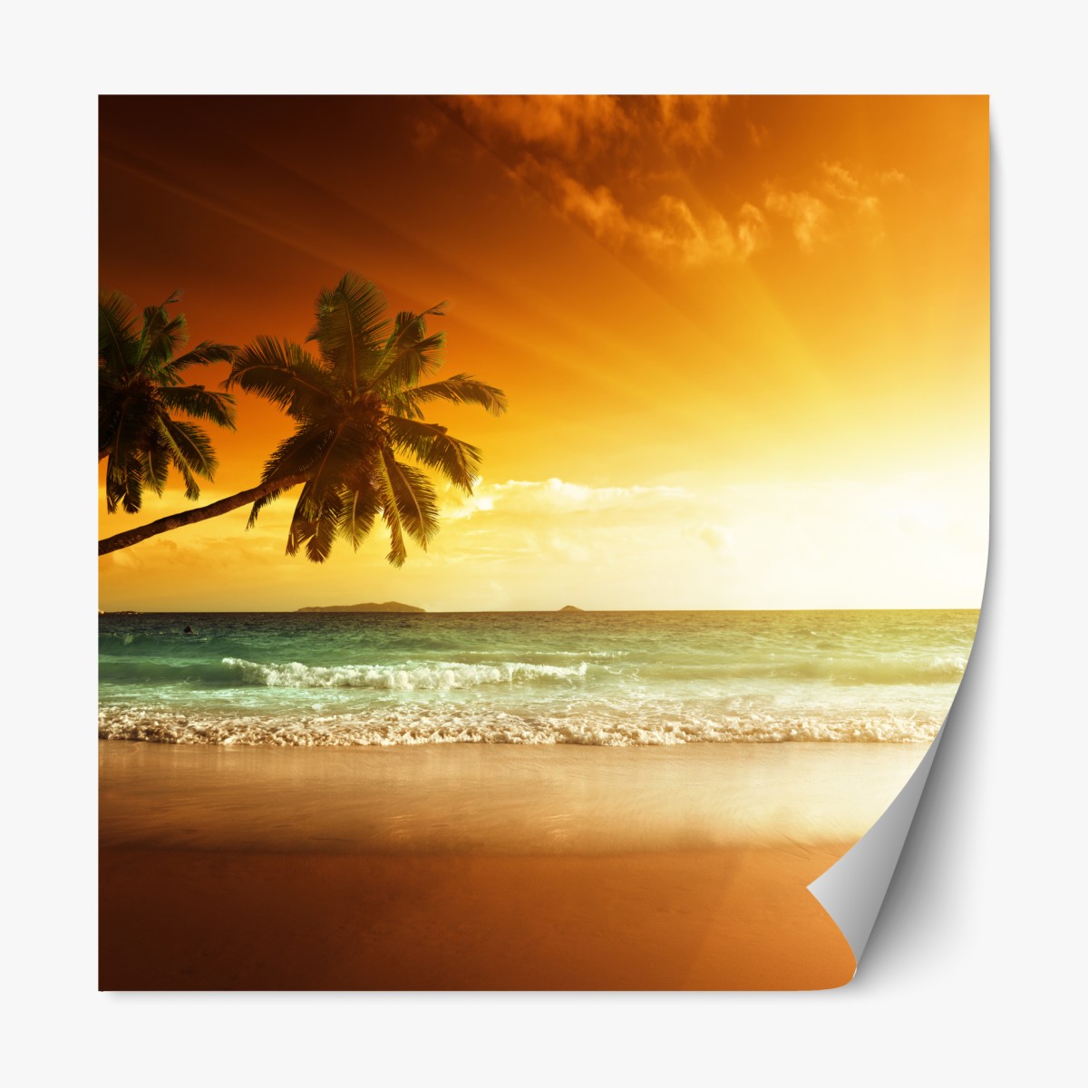 Repositionable sticker tropical sunset over Caribbean beach