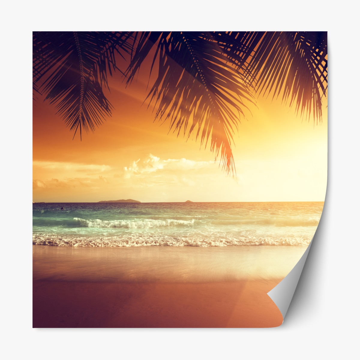 Repositionable sticker Caribbean sunset beach at dusk
