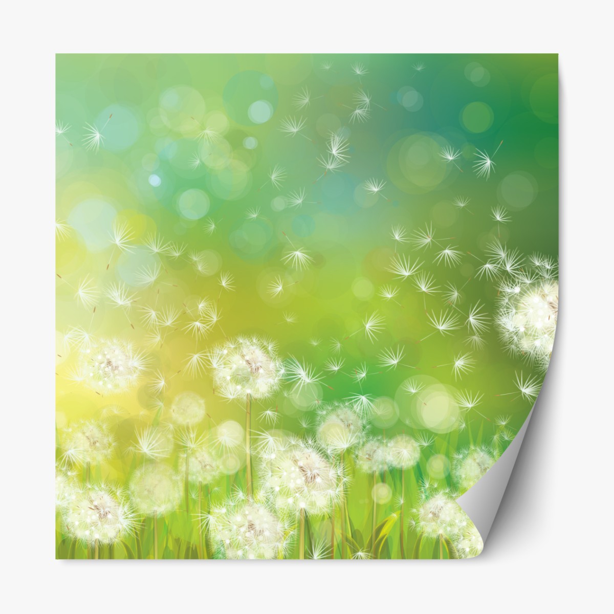 Repositionable sticker spring dandelion meadow