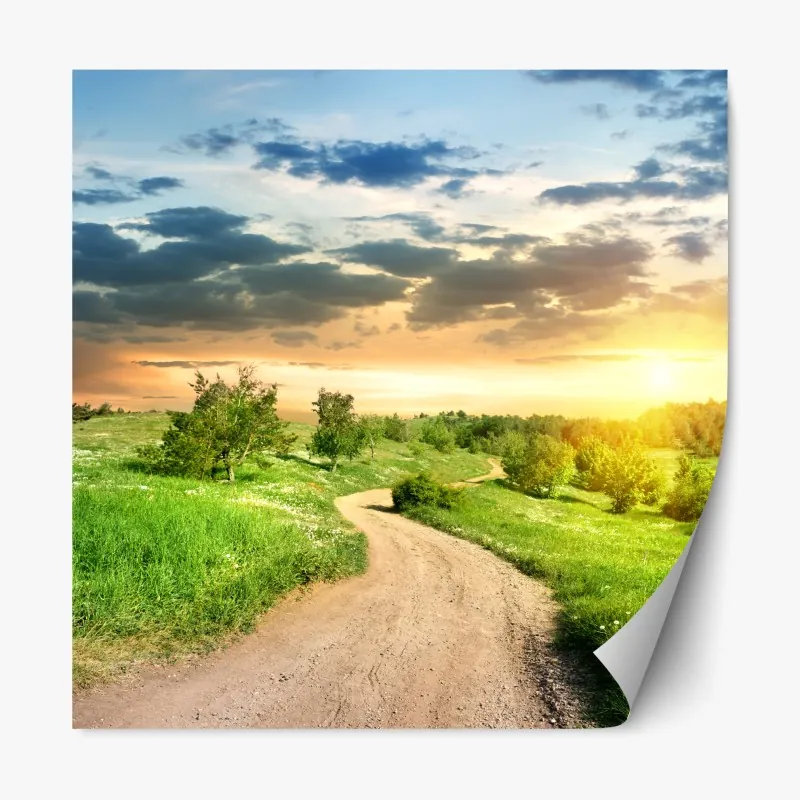 Naklejka repozycjonowalna delikatny dmuchawiec w monochromie – Wallissimo®