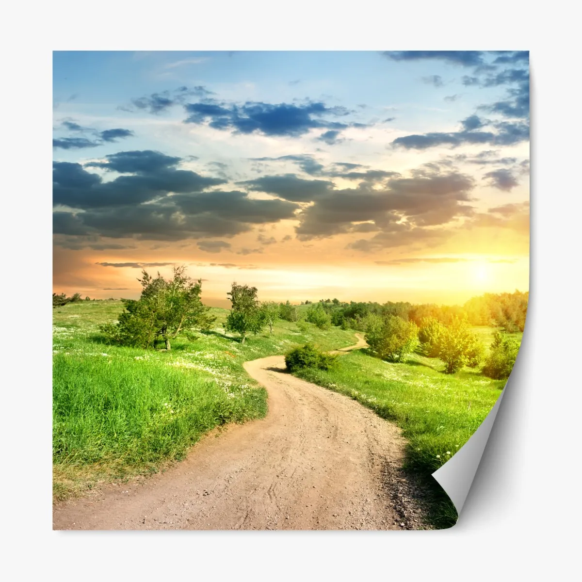 Naklejka repozycjonowalna zachód słońca nad polną drogą w zielonej łące – Wallissimo® Naklejka repozycjonowalna zachód słońca nad polną drogą w zielonej łące – Wallissimo®