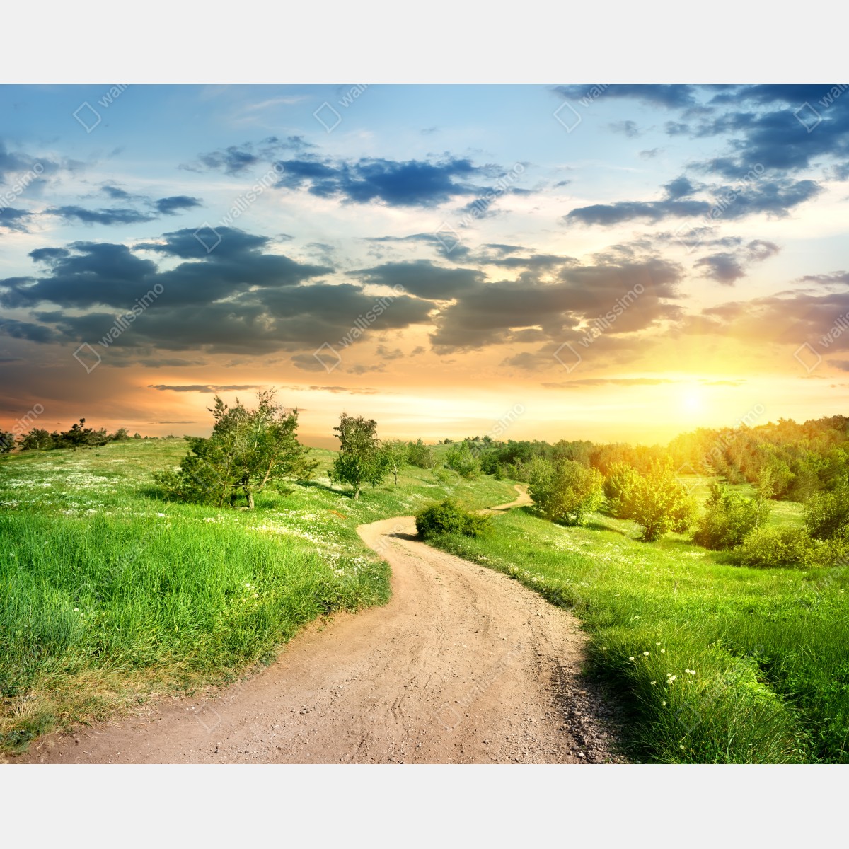 Naklejka repozycjonowalna zachód słońca nad polną drogą w zielonej łące – Wallissimo® Naklejka repozycjonowalna zachód słońca nad polną drogą w zielonej łące – Wallissimo®