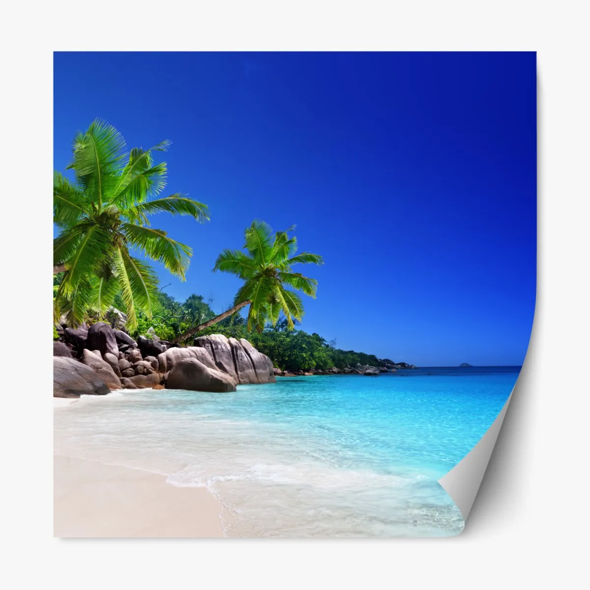 Naklejka repozycjonowalna tropikalna plaża z turkusową wodą i palmami – Wallissimo® Naklejka repozycjonowalna tropikalna plaża z turkusową wodą i palmami – Wallissimo®