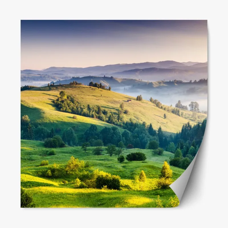 Naklejka repozycjonowalna portret studyjny czarnego labradora – Wallissimo®