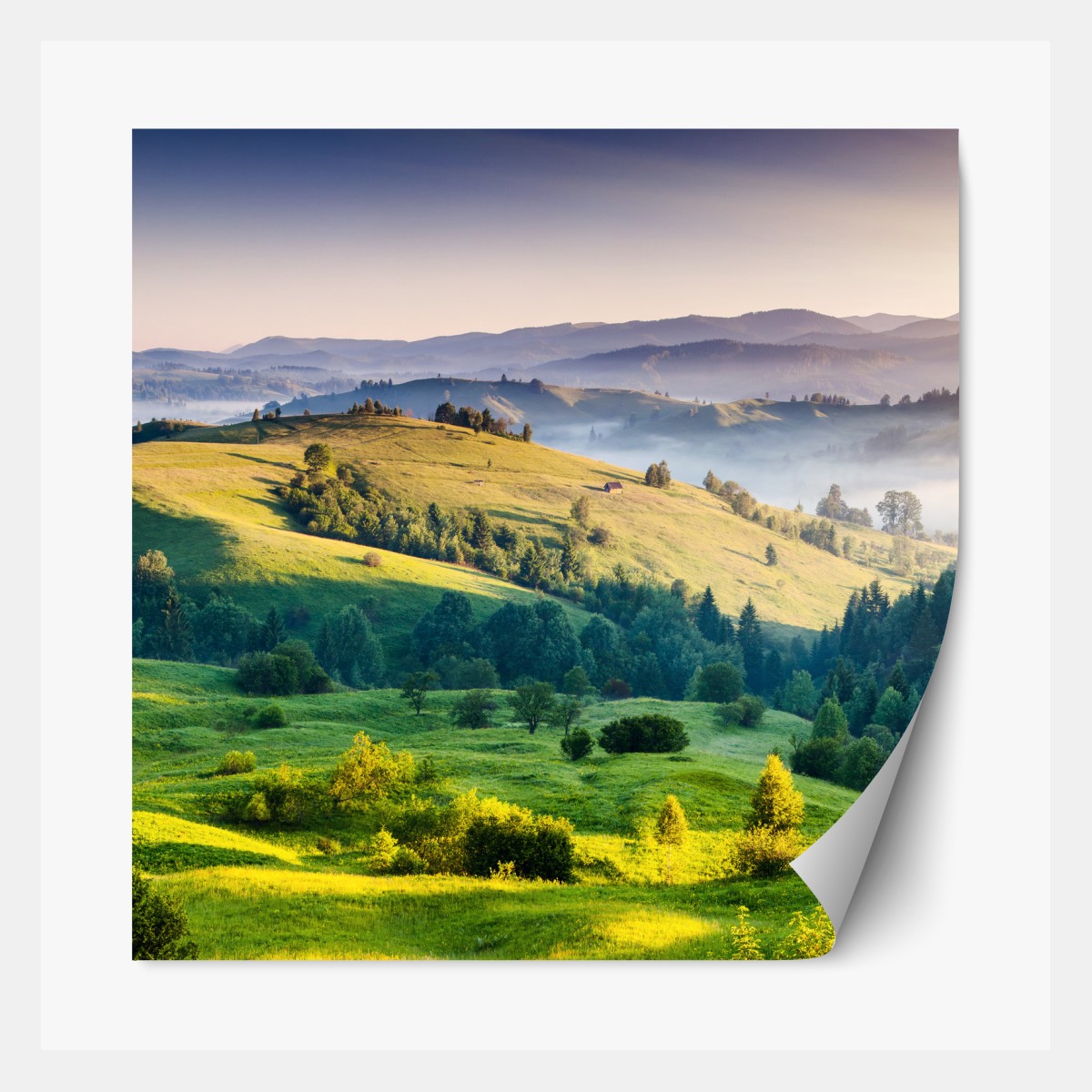 Repositionable sticker Carpathian sunset over rolling green hills