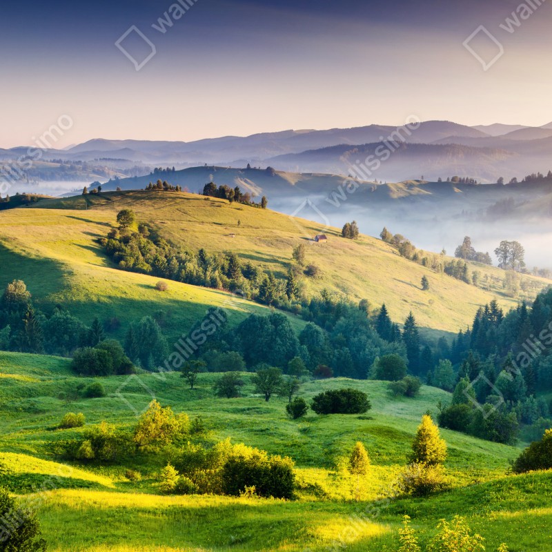 Naklejka repozycjonowalna zachód słońca w Karpatych nad zielonymi wzgórzami – Wallissimo® Naklejka repozycjonowalna zachód słońca w Karpatych nad zielonymi wzgórzami – Wallissimo®