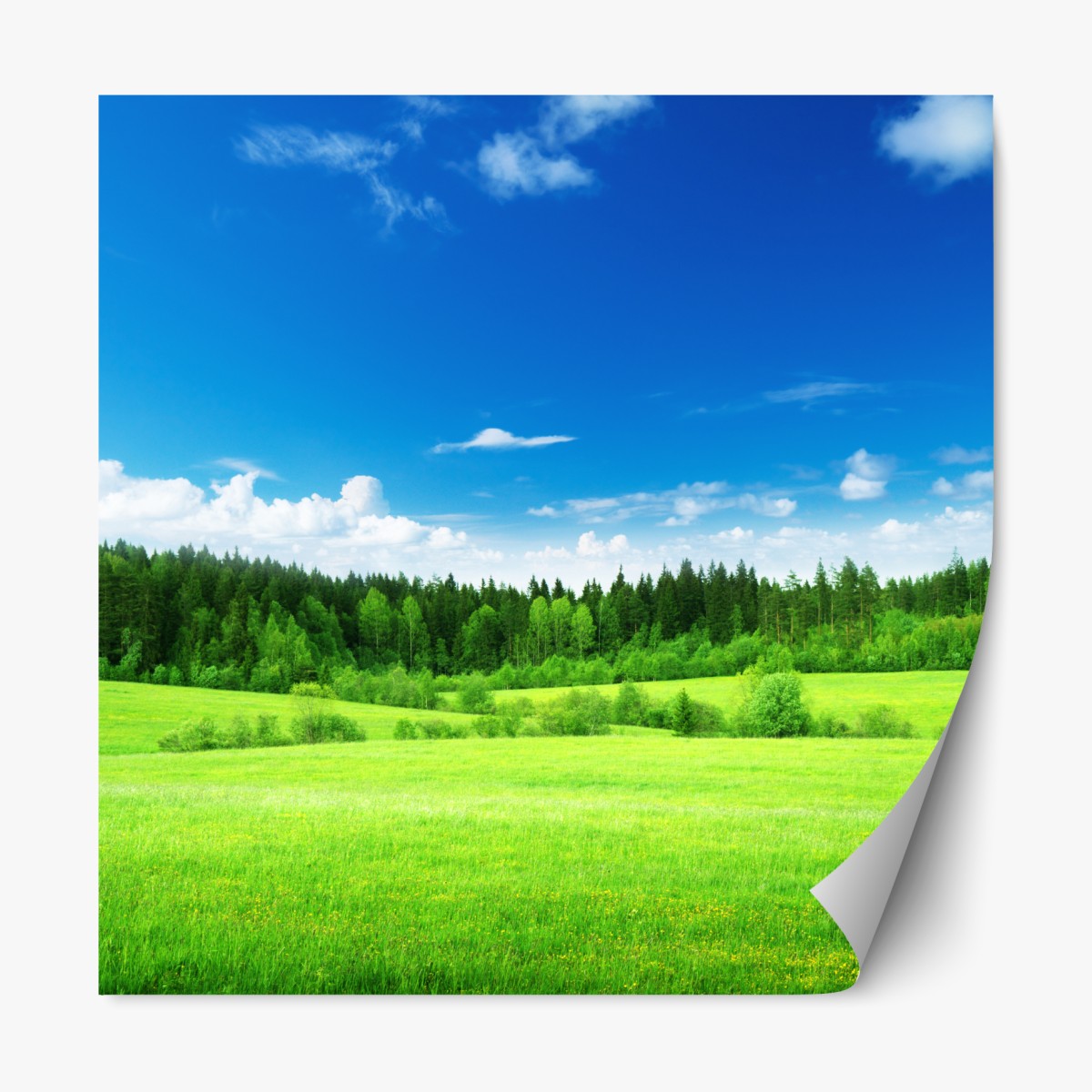 Repositionable sticker spring meadow under a blue sky