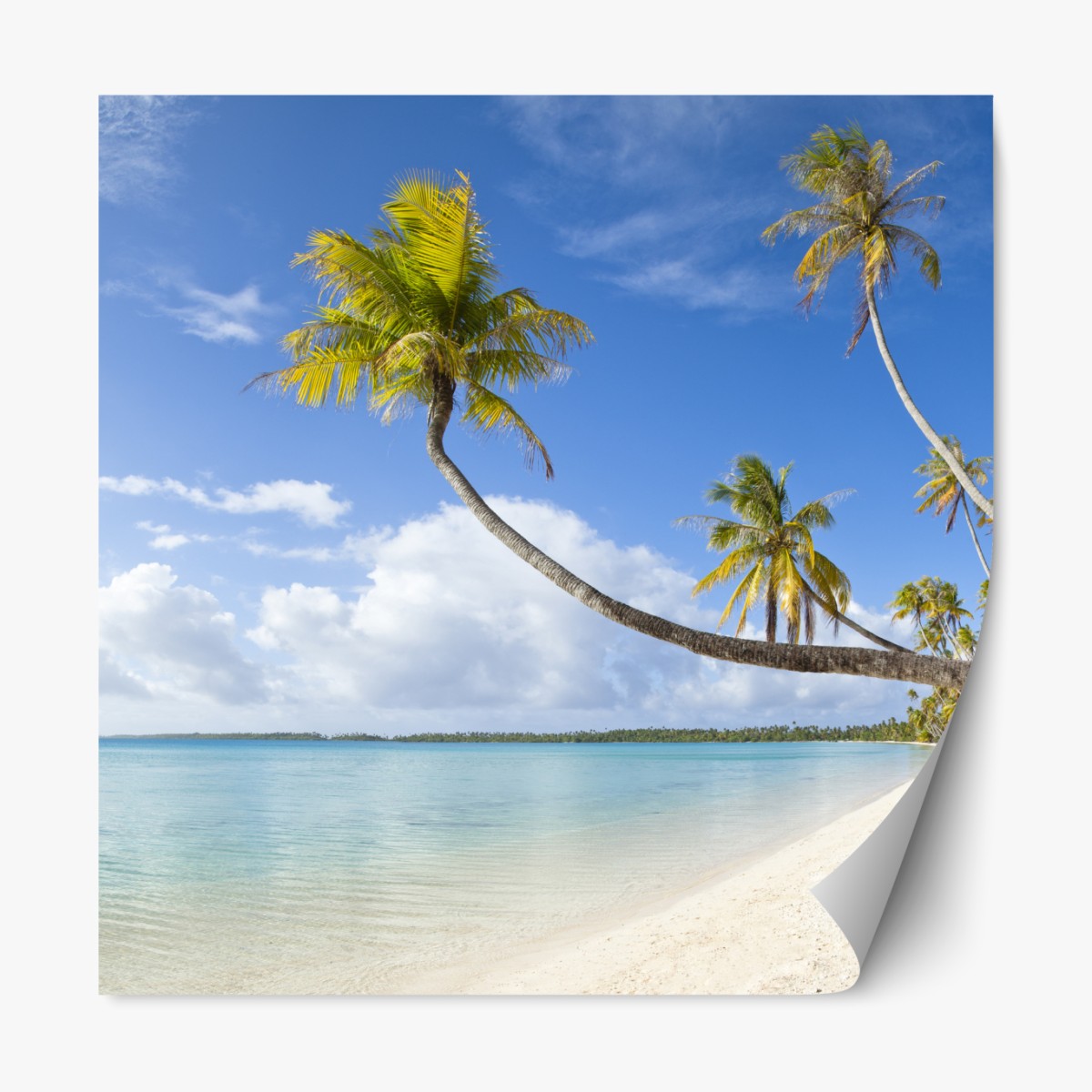 Repositionable sticker tropical turquoise beach with leaning palm