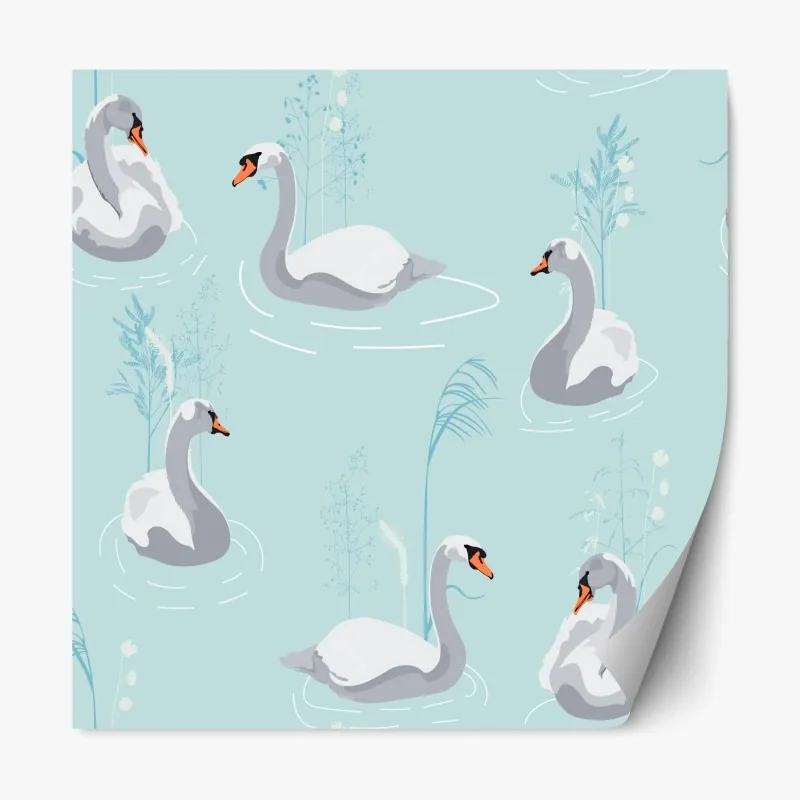 Naklejka repozycjonowalna delikatne łabędzie na turkusowym stawie