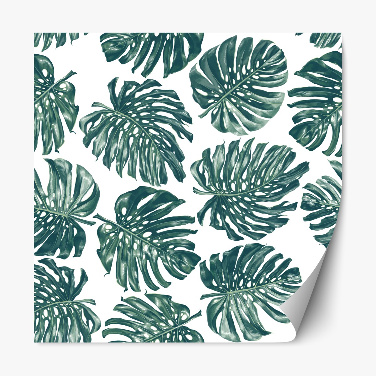 Repositionable sticker monstera leaf botanical pattern