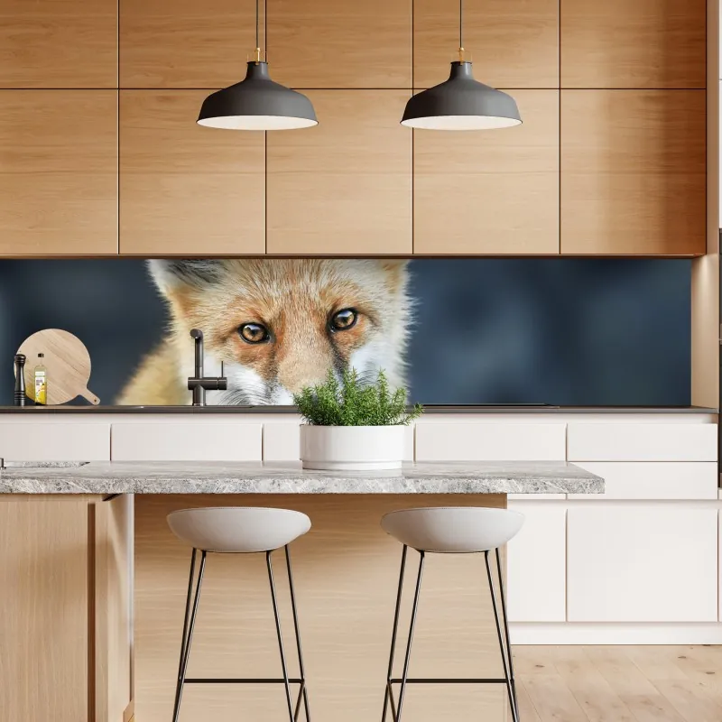 Naklejka repozycjonowalna portret czerwonego lisa – Wallissimo® Naklejka repozycjonowalna portret czerwonego lisa – Wallissimo®