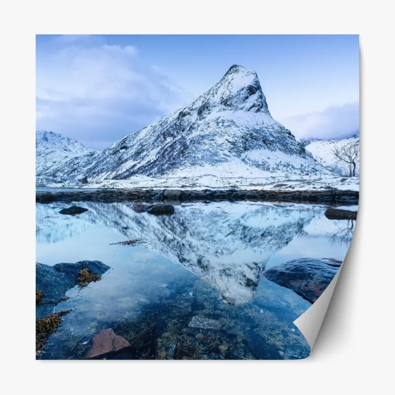 Naklejka repozycjonowalna akwarelowy tukan w tropikalnym wzorze – Wallissimo®