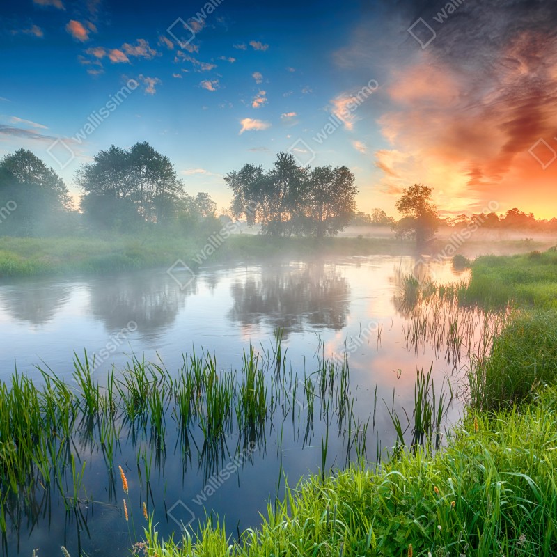 Naklejka repozycjonowalna mglista rzeka o wschodzie słońca nad zielonymi brzegami – Wallissimo® Naklejka repozycjonowalna mglista rzeka o wschodzie słońca nad zielonymi brzegami – Wallissimo®