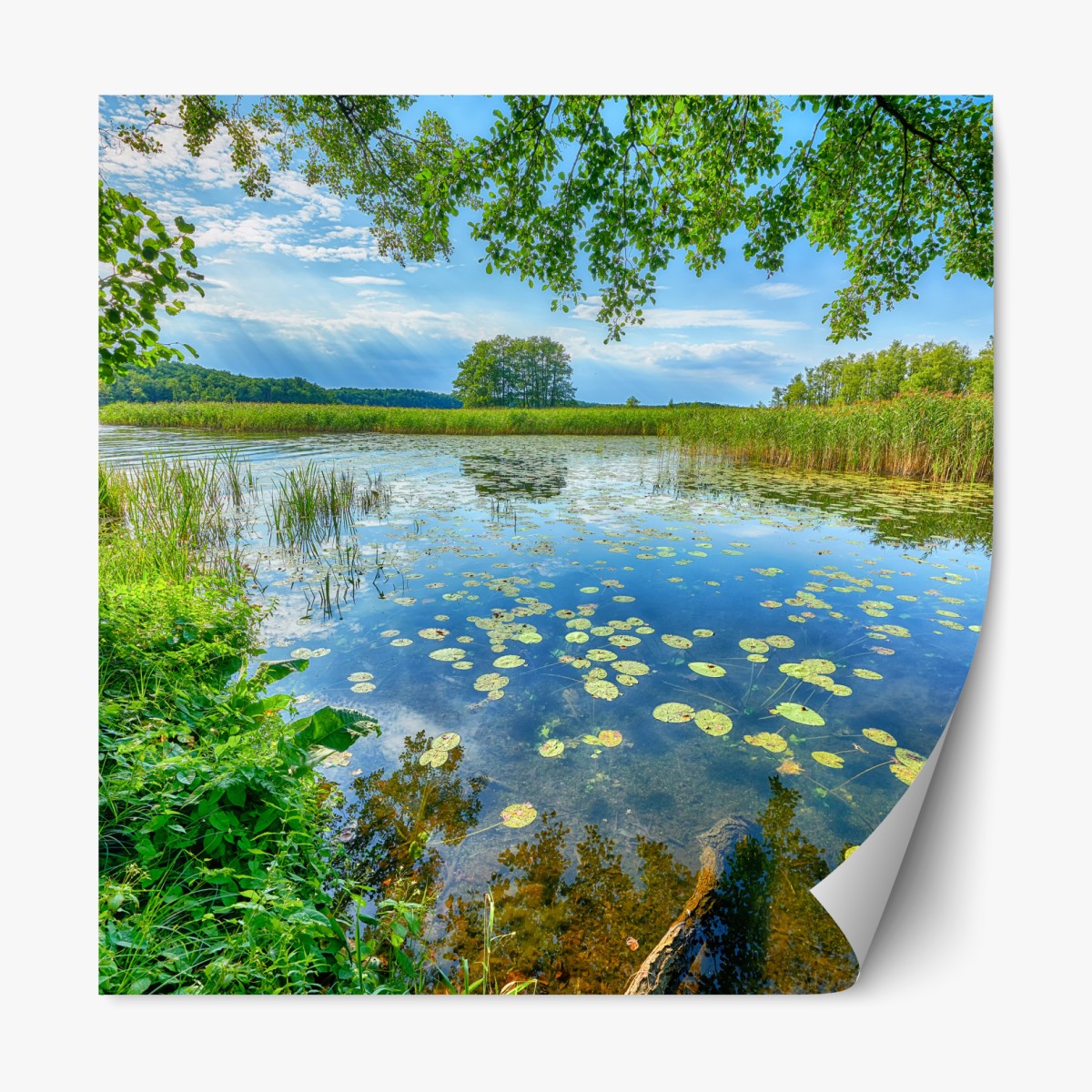 Repositionable sticker summer reflections at Masuria lake
