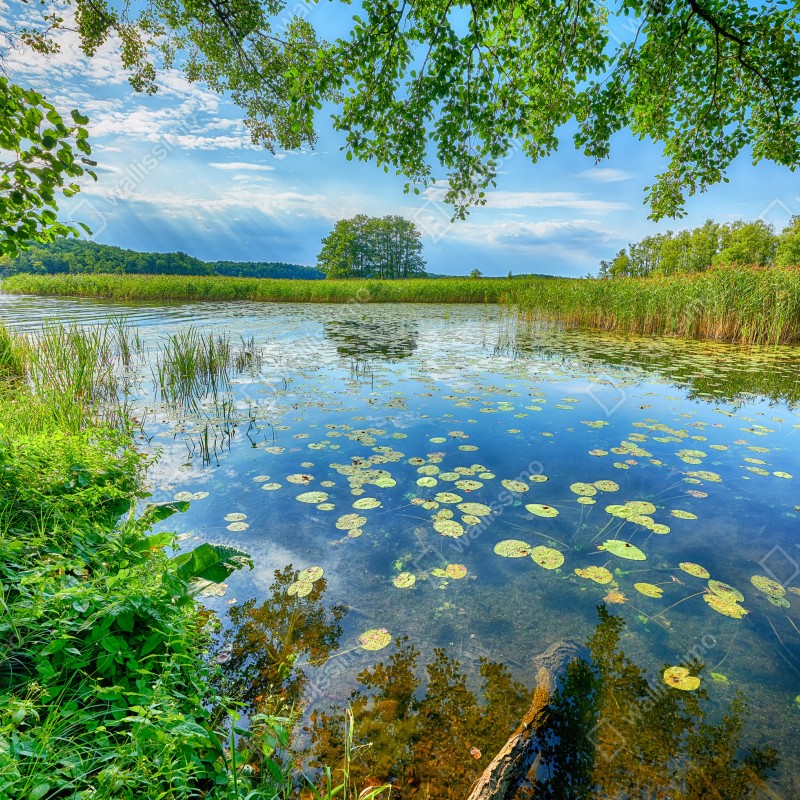 Naklejka repozycjonowalna lato nad jeziorem w Mazurach – Wallissimo® Naklejka repozycjonowalna lato nad jeziorem w Mazurach – Wallissimo®