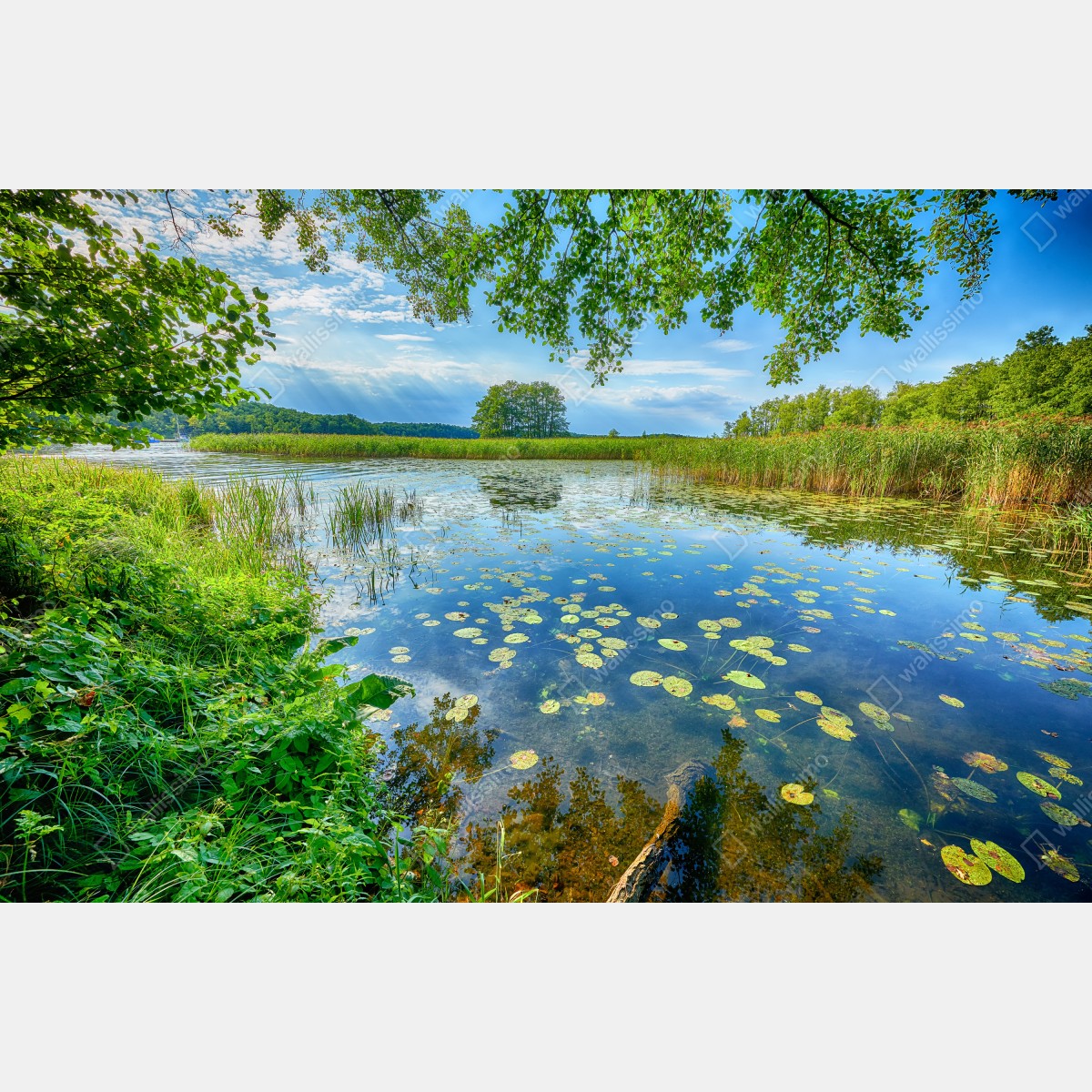 Naklejka repozycjonowalna lato nad jeziorem w Mazurach – Wallissimo® Naklejka repozycjonowalna lato nad jeziorem w Mazurach – Wallissimo®