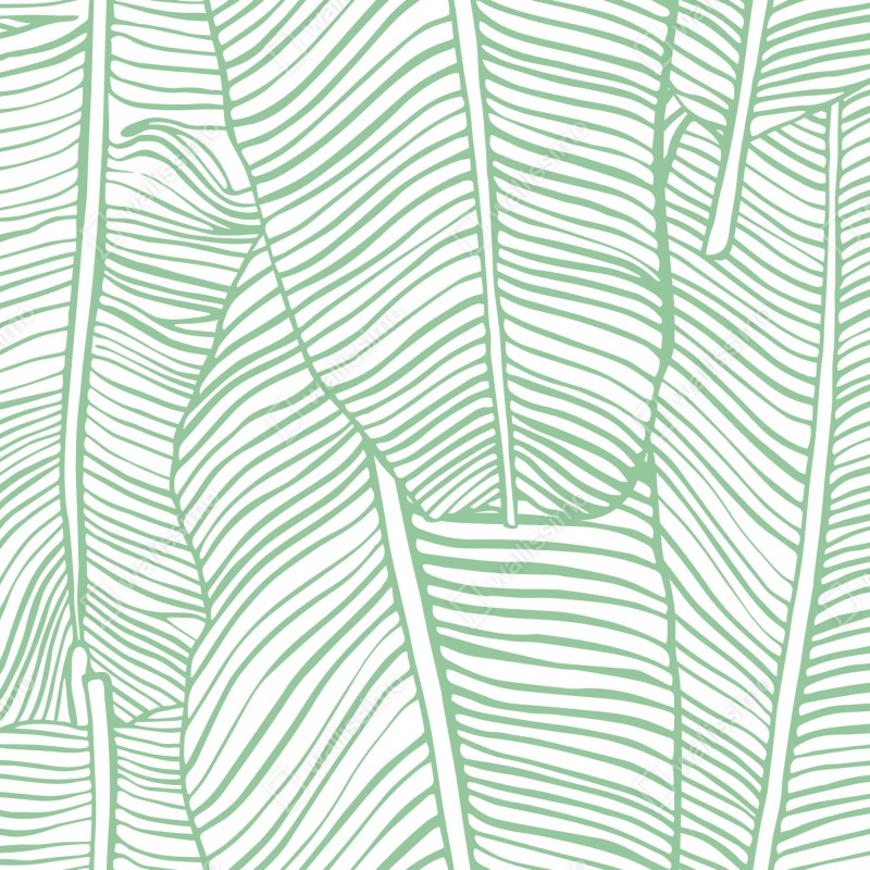 Naklejka repozycjonowalna miętowy wzór liści bananowca – Wallissimo® Naklejka repozycjonowalna miętowy wzór liści bananowca – Wallissimo®