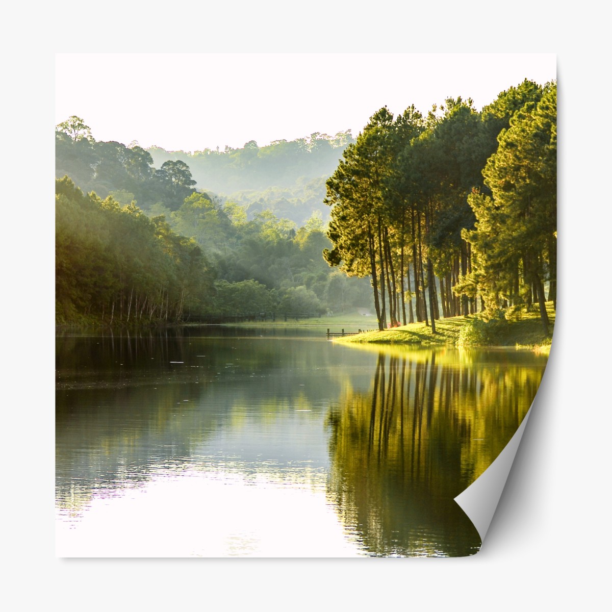 Repositionable sticker serene pine forest by a tranquil lake