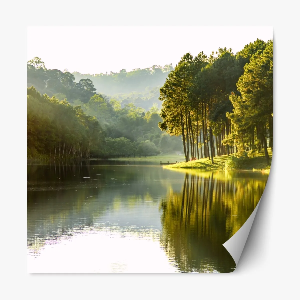 Naklejka repozycjonowalna spokojny las sosnowy nad cichym jeziorem – Wallissimo® Naklejka repozycjonowalna spokojny las sosnowy nad cichym jeziorem – Wallissimo®