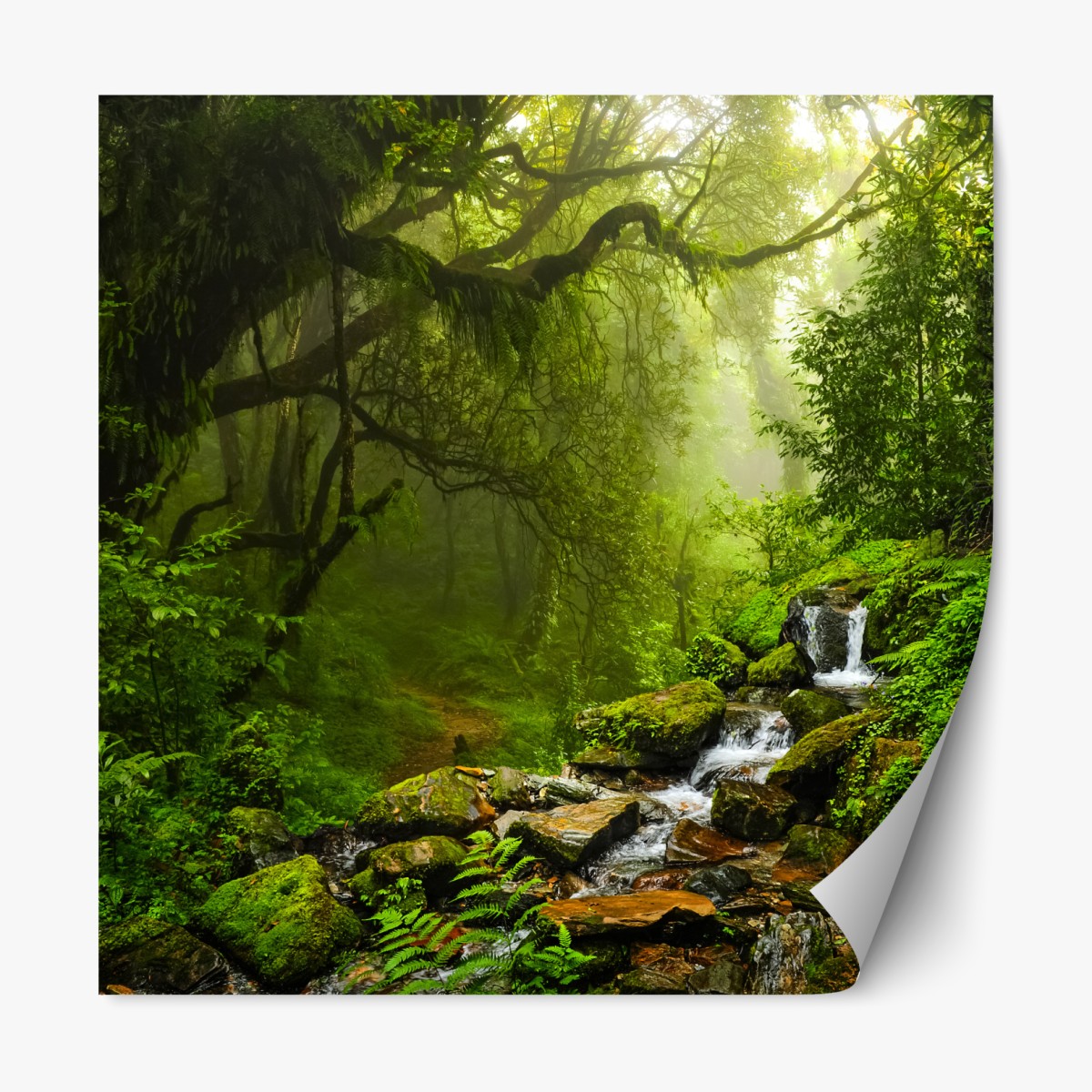 Repositionable sticker lush misty forest waterfall