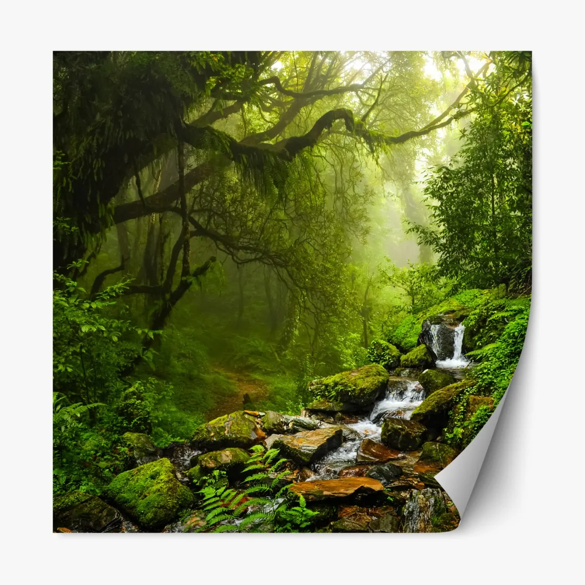 Naklejka repozycjonowalna bujny mglisty leśny wodospad – Wallissimo® Naklejka repozycjonowalna bujny mglisty leśny wodospad – Wallissimo®