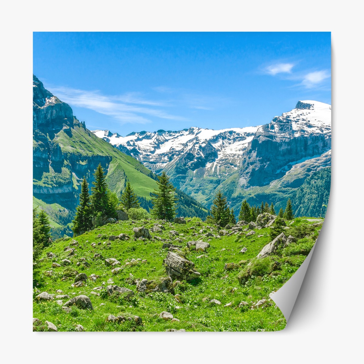 Repositionable sticker sunlit alpine meadow in Engelberg