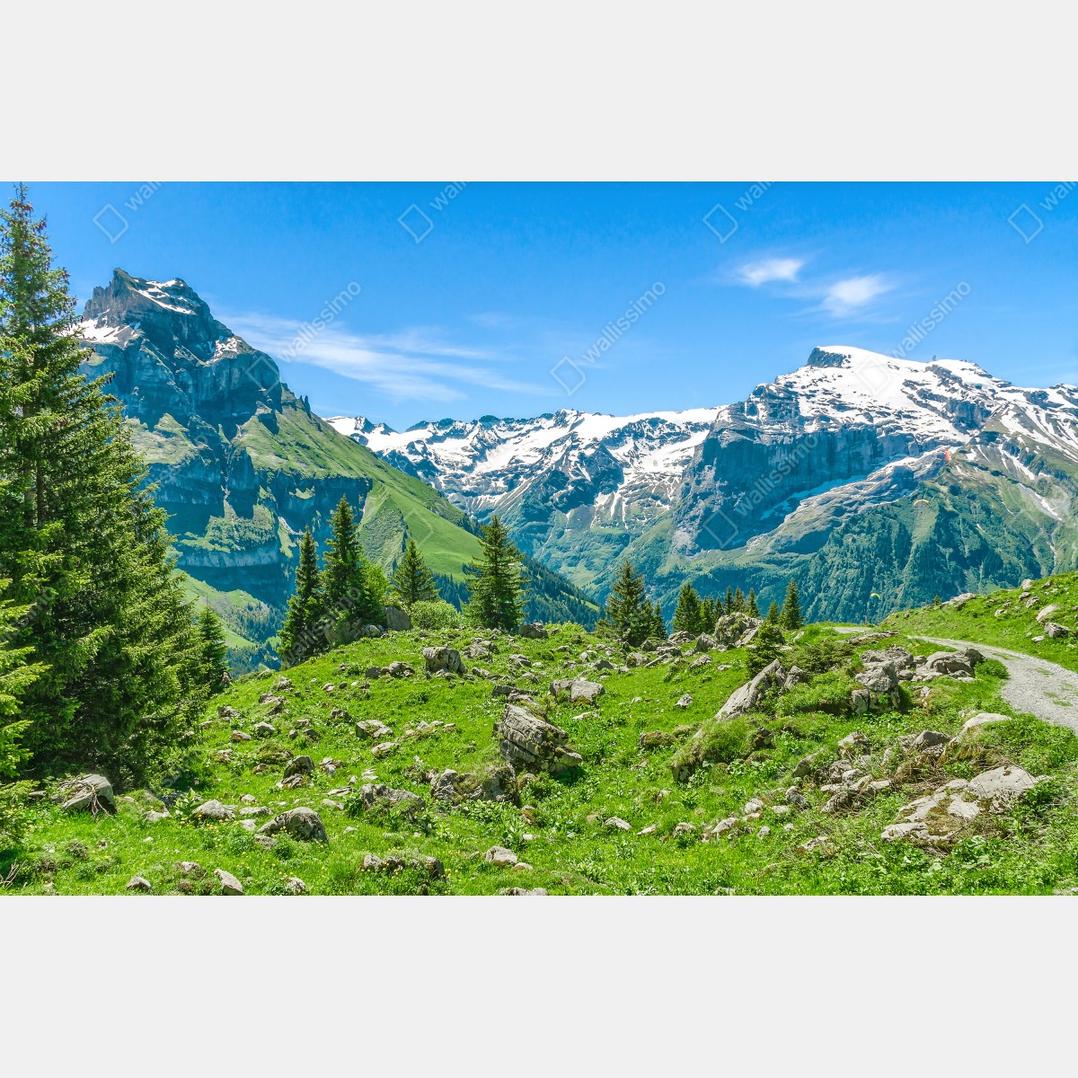 Naklejka repozycjonowalna słoneczna łąka w Engelberg – Wallissimo® Naklejka repozycjonowalna słoneczna łąka w Engelberg – Wallissimo®