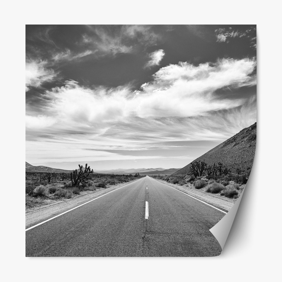 Repositionable sticker Death Valley open road in black and white