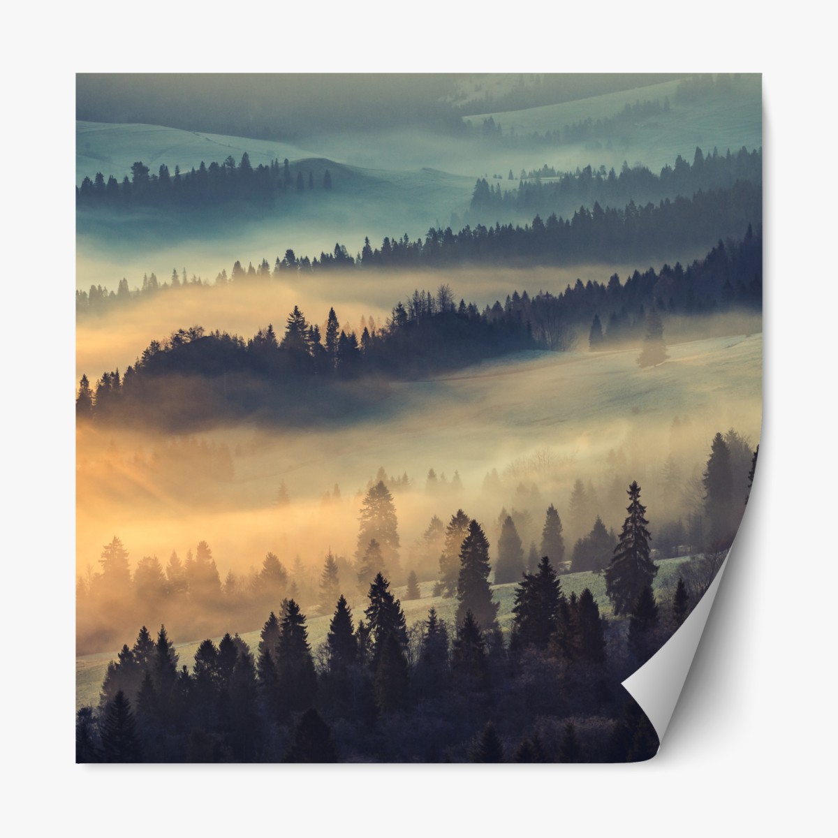 Repositionable sticker misty mountain forest at sunrise