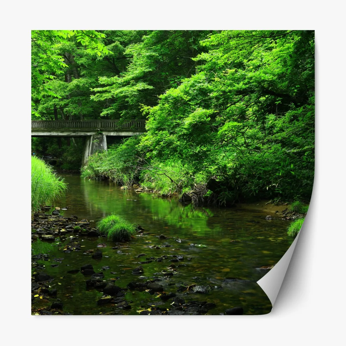 Naklejka repozycjonowalna bujny zielony las z strumieniem i kamiennym mostem – Wallissimo® Naklejka repozycjonowalna bujny zielony las z strumieniem i kamiennym mostem – Wallissimo®
