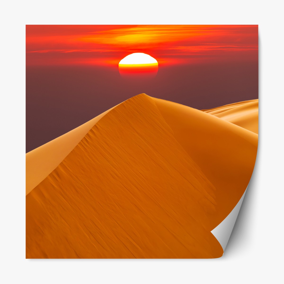 Repositionable sticker golden desert sunset over sand dunes