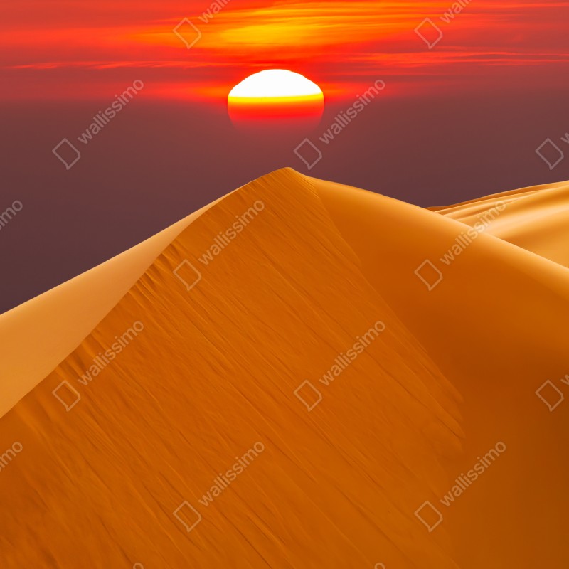 Naklejka repozycjonowalna złoty zachód słońca nad wydmami pustyni – Wallissimo® Naklejka repozycjonowalna złoty zachód słońca nad wydmami pustyni – Wallissimo®