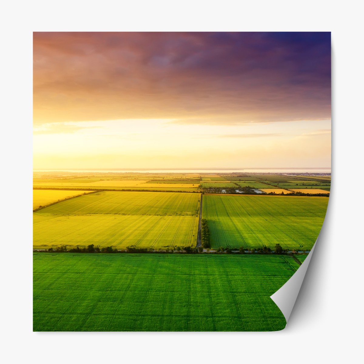 Repositionable sticker golden sunset over green fields