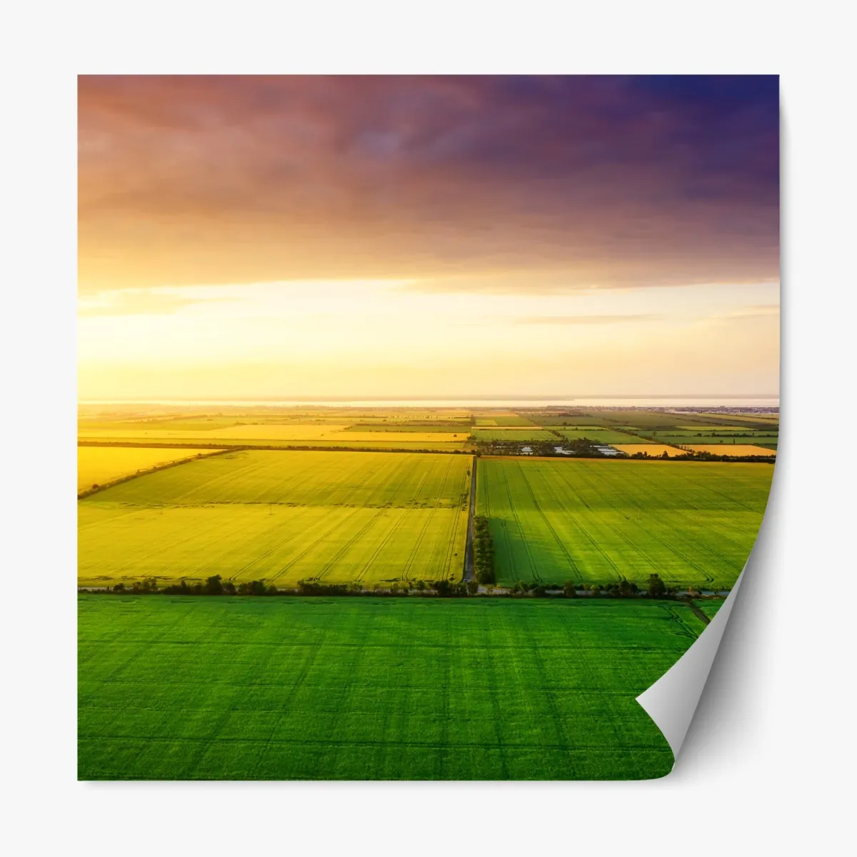 Naklejka repozycjonowalna zachód słońca nad zielonymi polami – Wallissimo® Naklejka repozycjonowalna zachód słońca nad zielonymi polami – Wallissimo®