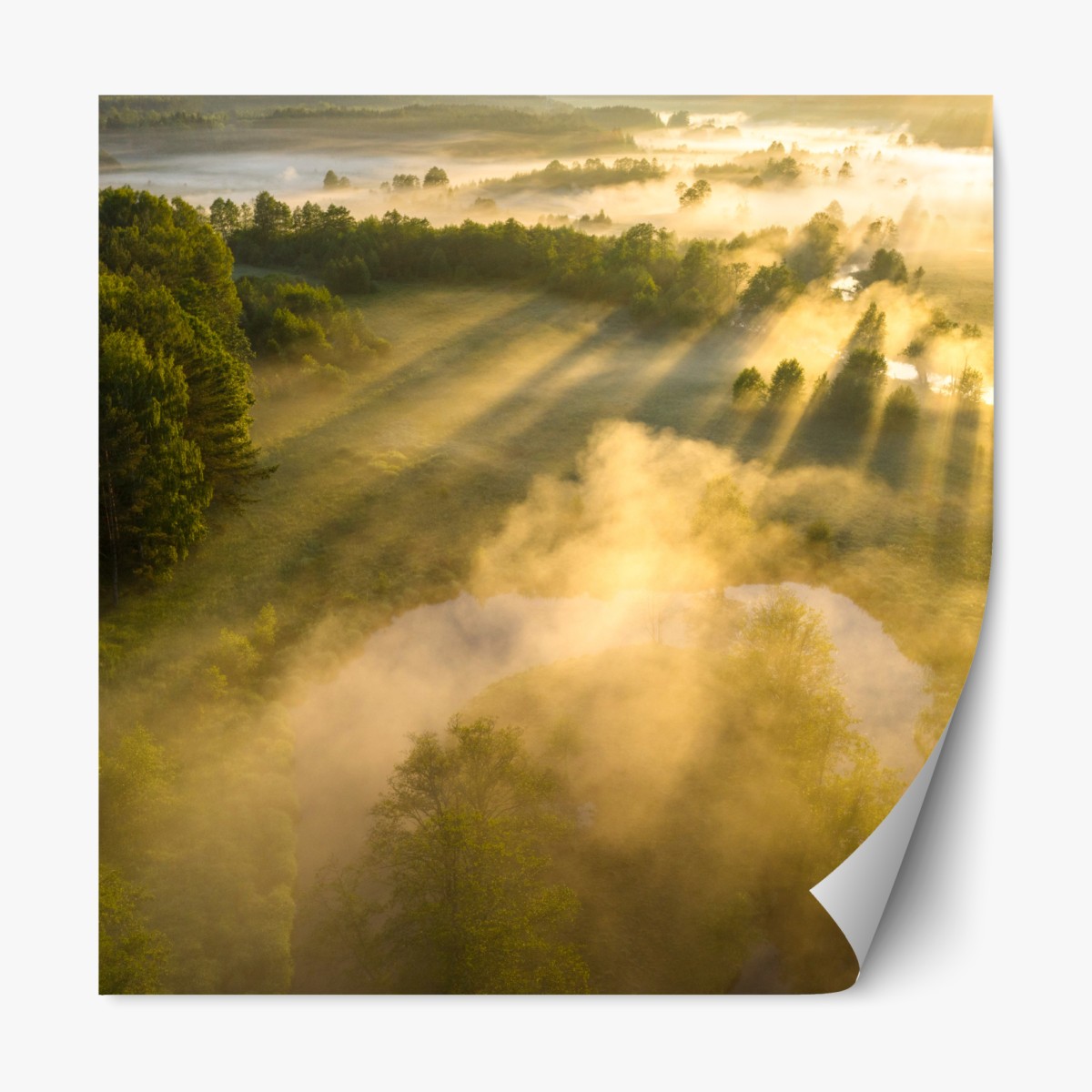 Repositionable sticker golden morning over a misty river