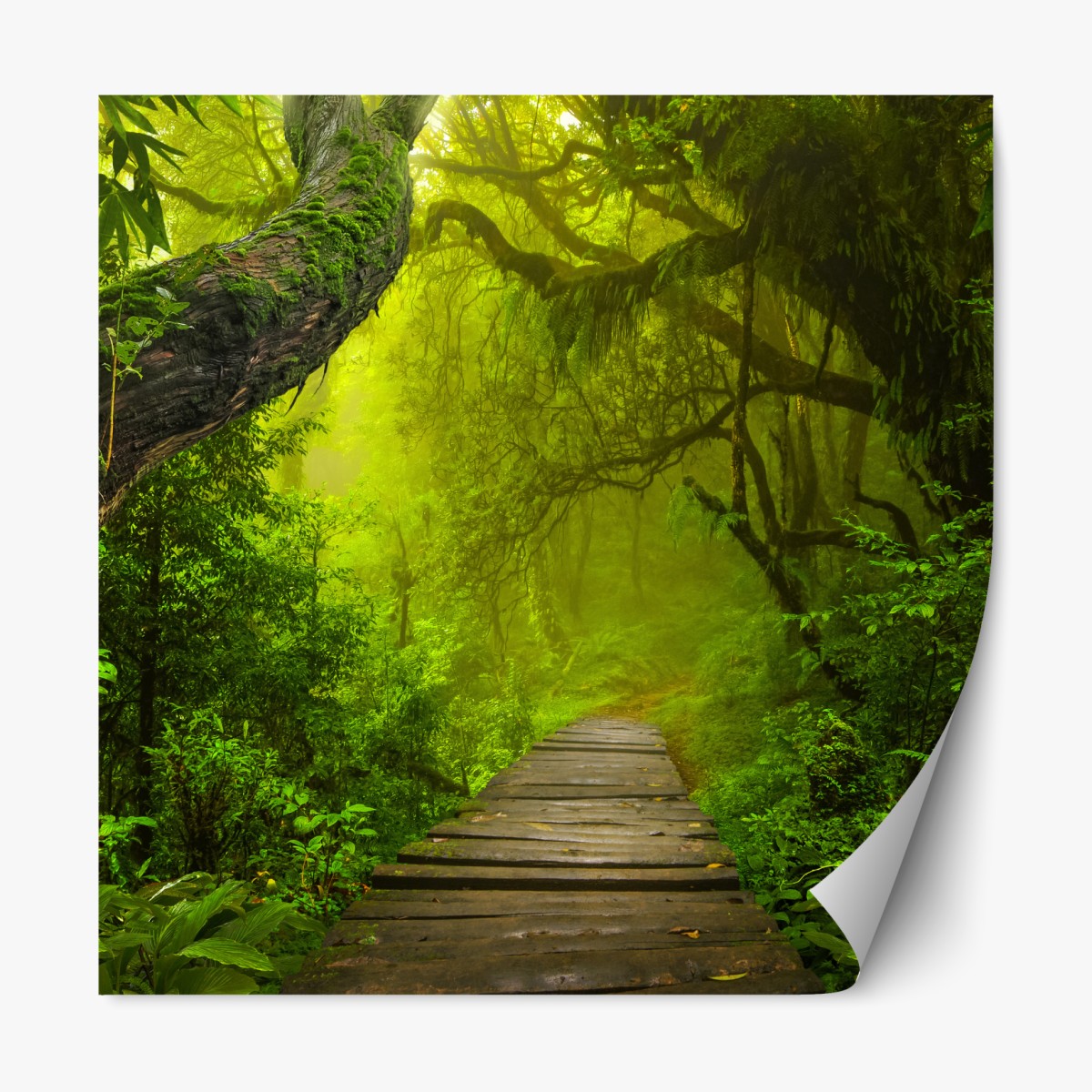 Repositionable sticker mystical green forest path