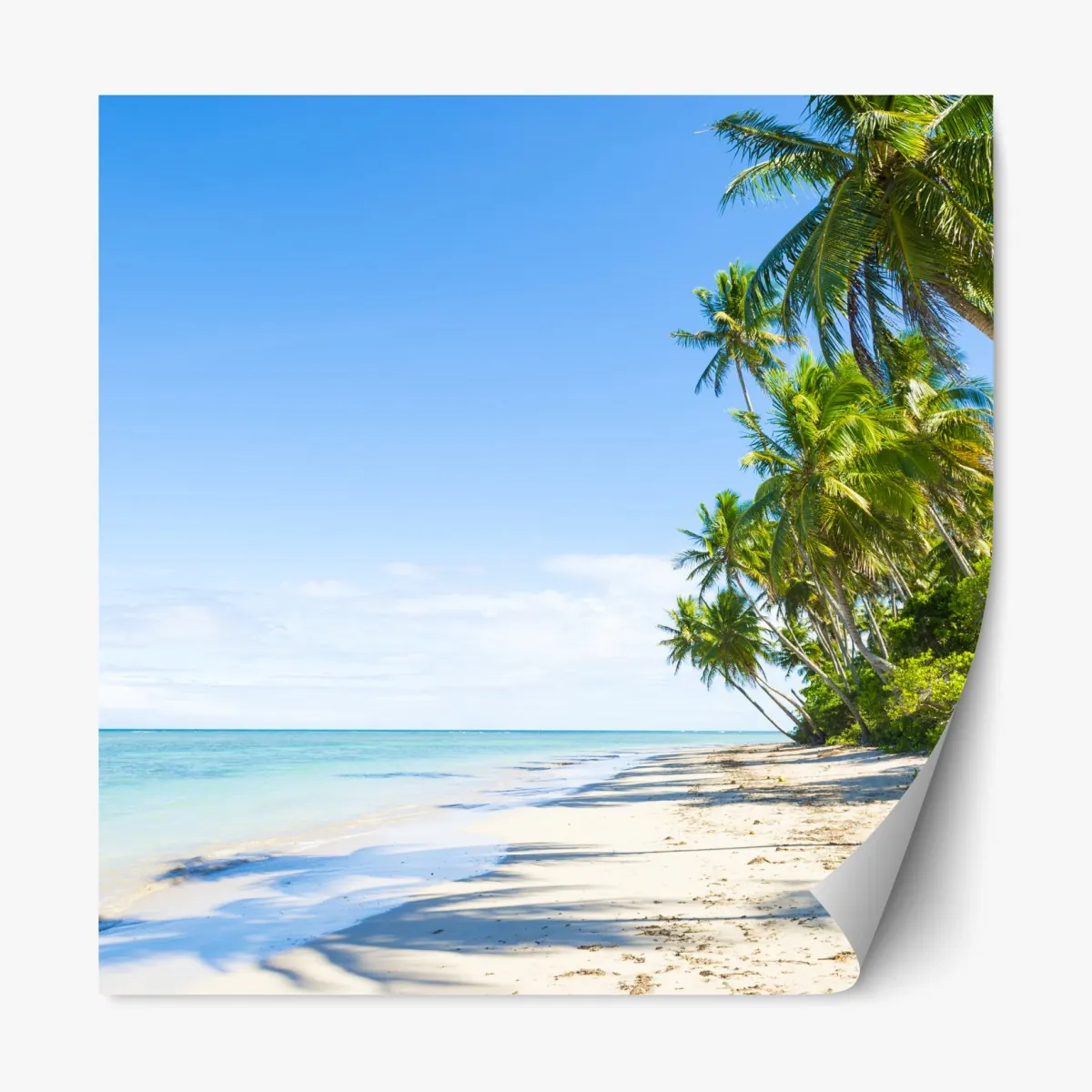 Naklejka repozycjonowalna tropikalna plaża z palmami – Wallissimo® Naklejka repozycjonowalna tropikalna plaża z palmami – Wallissimo®