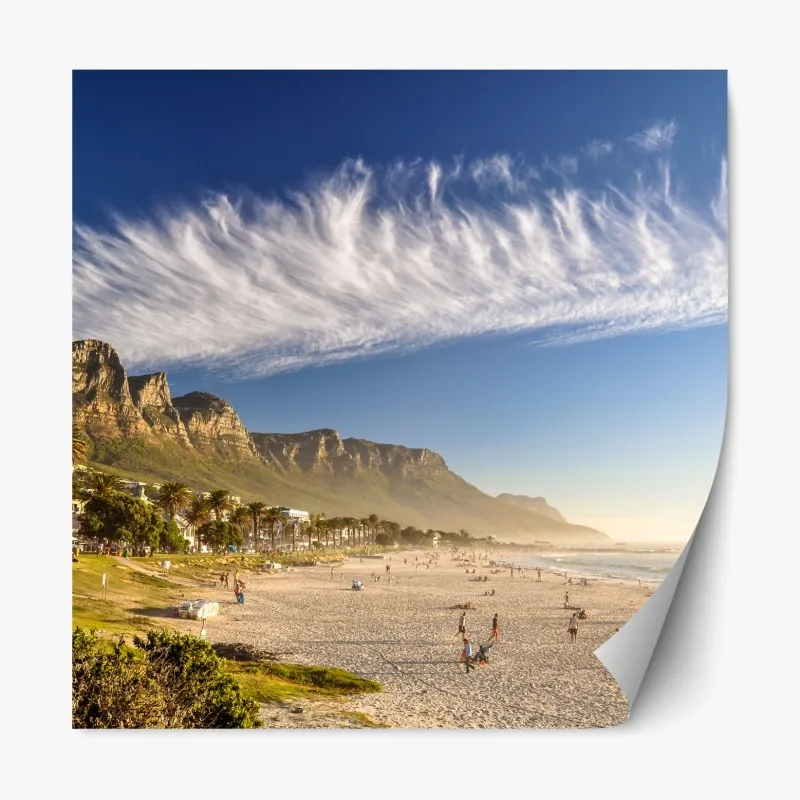 Naklejka repozycjonowalna portret studyjny czarnego labradora – Wallissimo®