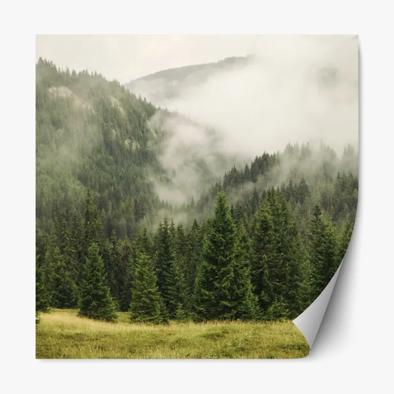 Naklejka repozycjonowalna spokojny zimowy fiord w Reine, Lofoten – Wallissimo®