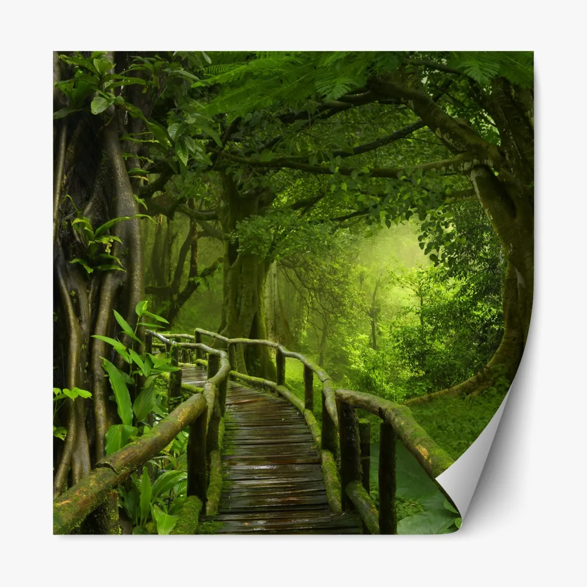 Naklejka repozycjonowalna mglista kładka w tropikalnej dżungli – Wallissimo® Naklejka repozycjonowalna mglista kładka w tropikalnej dżungli – Wallissimo®