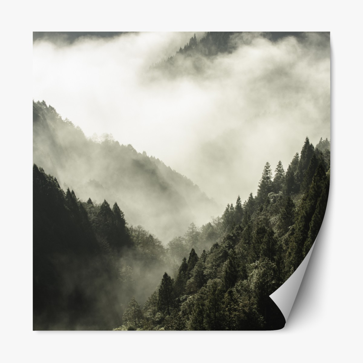 Repositionable sticker misty mountain valley