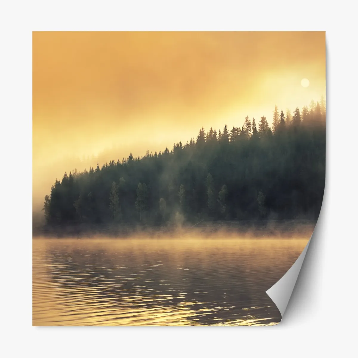 Naklejka repozycjonowalna mglisty złoty wschód nad leśnym jeziorem – Wallissimo® Naklejka repozycjonowalna mglisty złoty wschód nad leśnym jeziorem – Wallissimo®