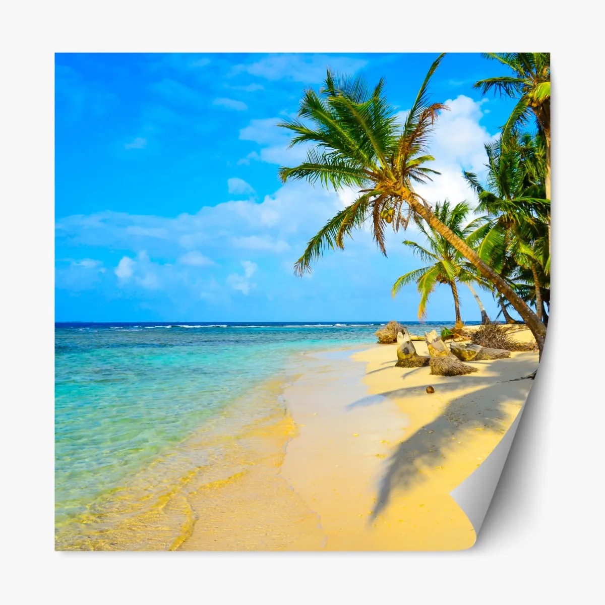 Naklejka repozycjonowalna tropikalna turkusowa plaża – Wallissimo® Naklejka repozycjonowalna tropikalna turkusowa plaża – Wallissimo®