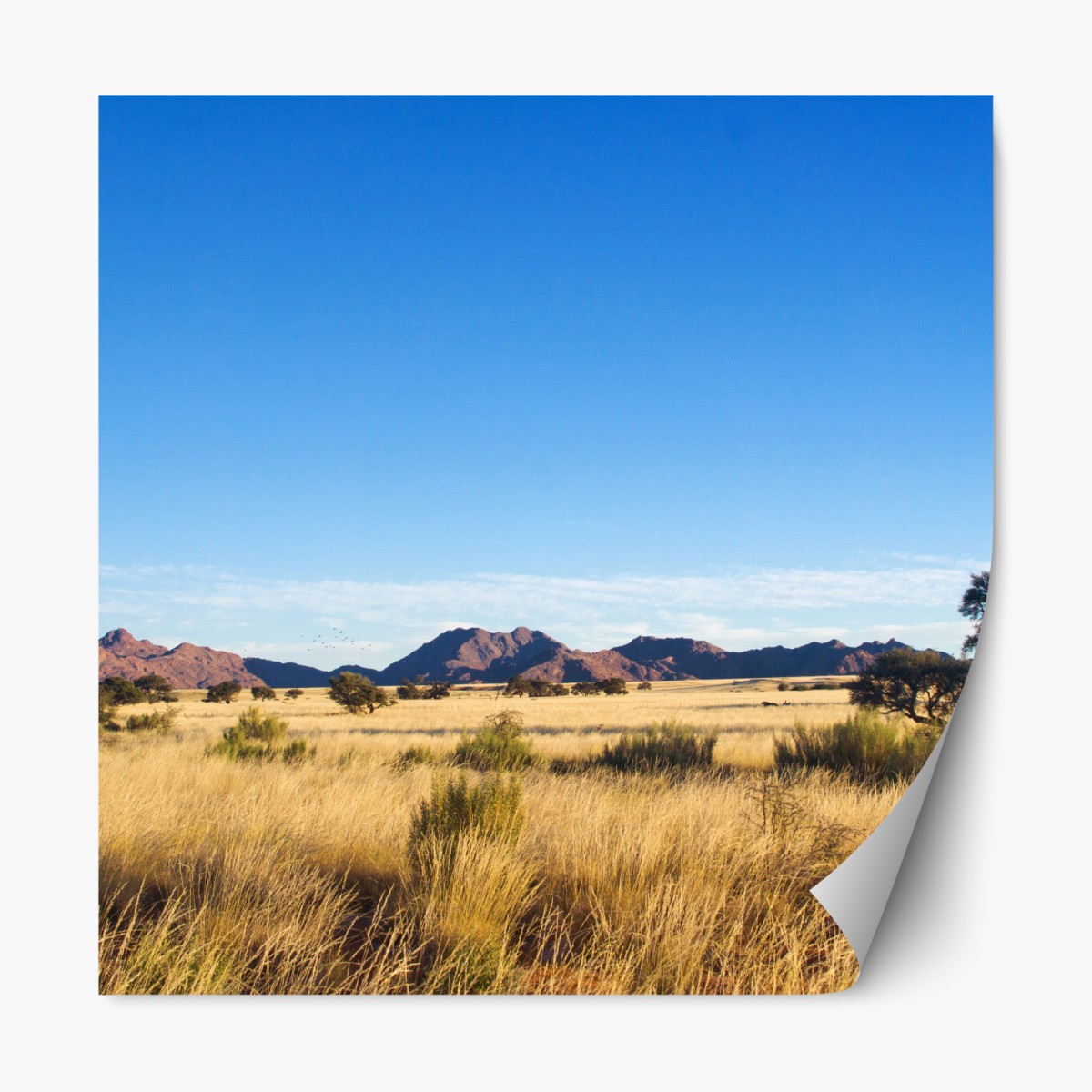 Repositionable sticker serene savanna landscape under a clear blue sky