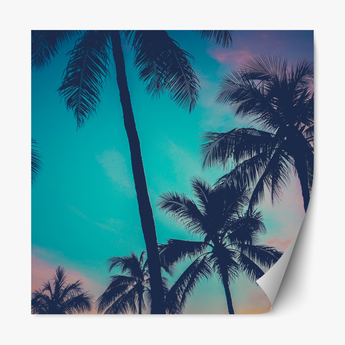 Repositionable sticker vintage palm trees in Hawaii at sunset