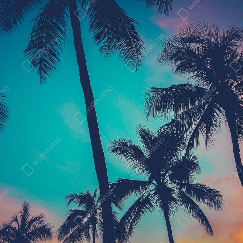 Naklejka repozycjonowalna vintage palmy na Hawajach o zachodzie słońca – Wallissimo® Naklejka repozycjonowalna vintage palmy na Hawajach o zachodzie słońca – Wallissimo®